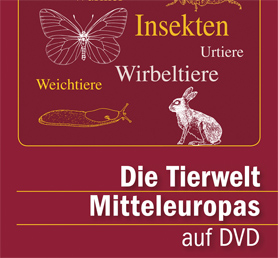 DVD`s