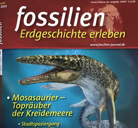 Fossilien