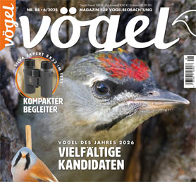 Klicken Sie hier um zur Kategorie Vgel zu gelangen