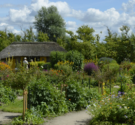 Dieses Bild zeigt das Kategoriebild f�r Garten