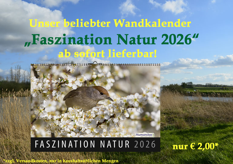 DAs Bild zeigt den aktuellen Humanitas Kalender 2026