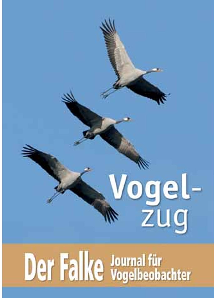 DER FALKE - SONDERHEFT 2013 VOGELZUG