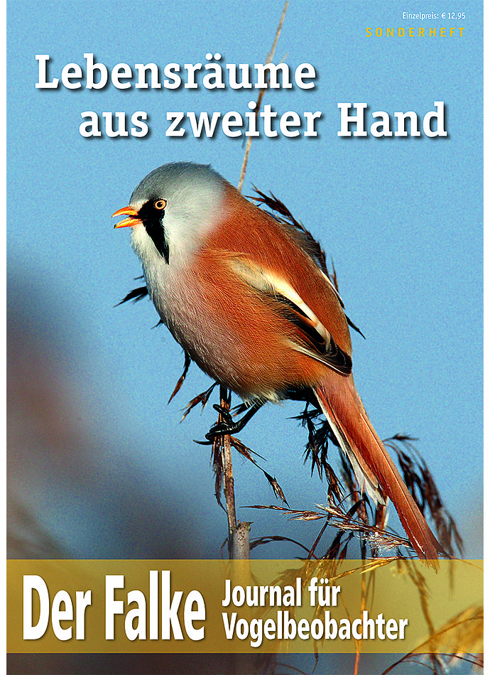 Auf diesem Bild sehen Sie das Produktbild 1 fr DER FALKE SONDERHEFT 2018 LEBENSRUME AUS 2. HAND
