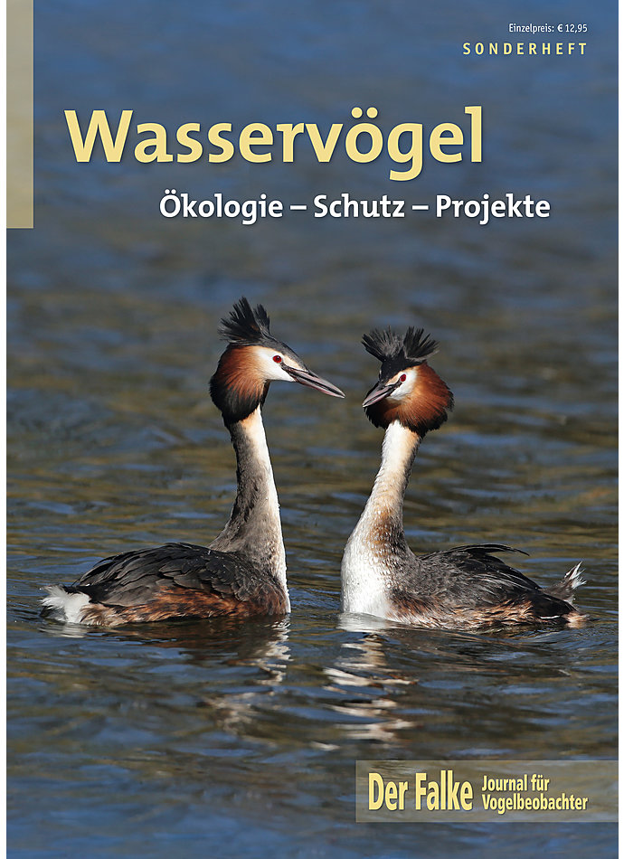 DER FALKE SONDERHEFT 2019 WASSERVGEL