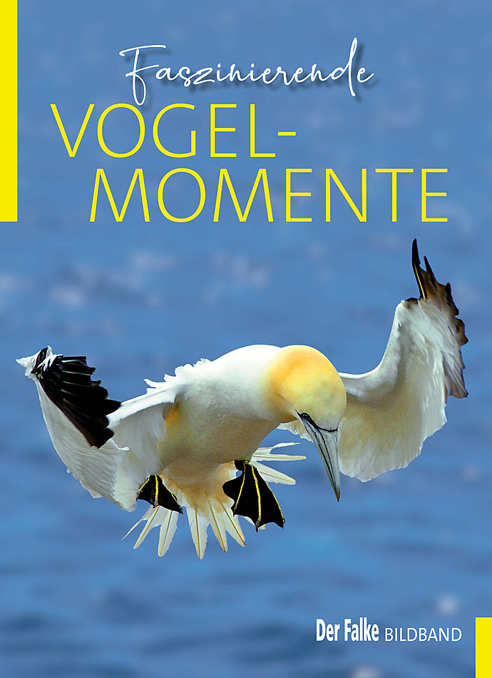 FASZINIERENDE VOGELMOMENTE