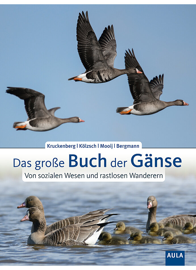 KRUCKENBERG/KLZSCH/MOOIJ/ BERGMANN, DAS GROE BUCH DER GNSE