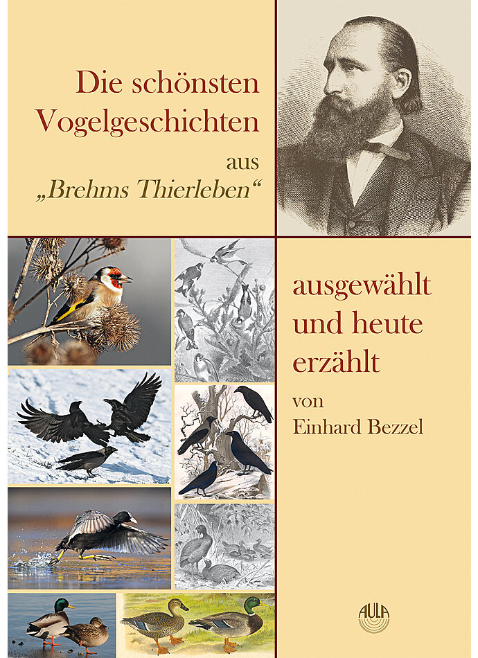 BEZZEL, DIE SCHNSTEN VOGELGESCHICHTEN AUS BREHMS THIERLEBEN