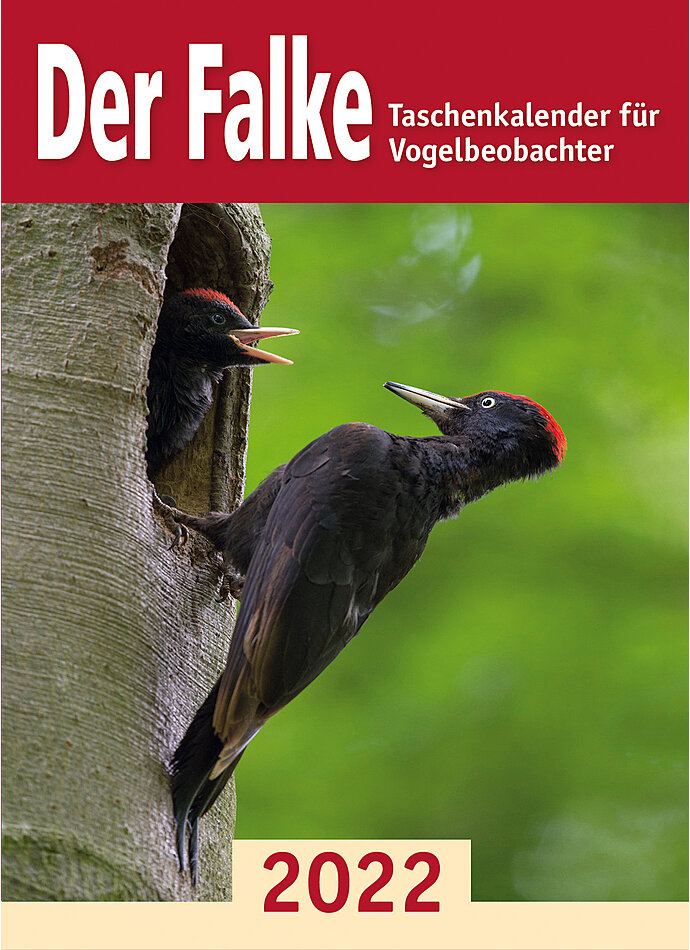 FALKE TASCHENKALENDER 2022 TKL FR VOGELBEOBACHTER