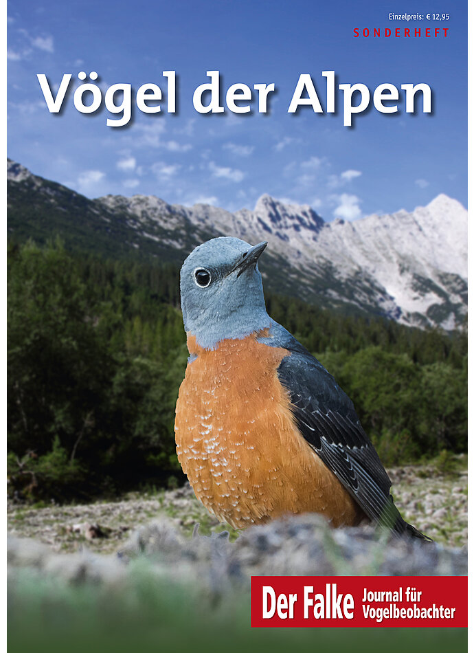 FALKE SONDERHEFT 2022 VGEL DER ALPEN