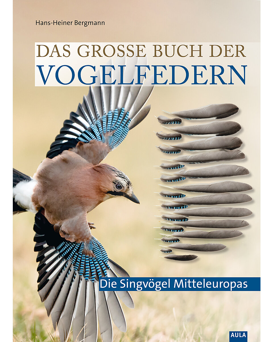 BERGMANN, DAS GROE BUCH DER VOGELFEDERN - SINGVGEL MITTELEUROPAS