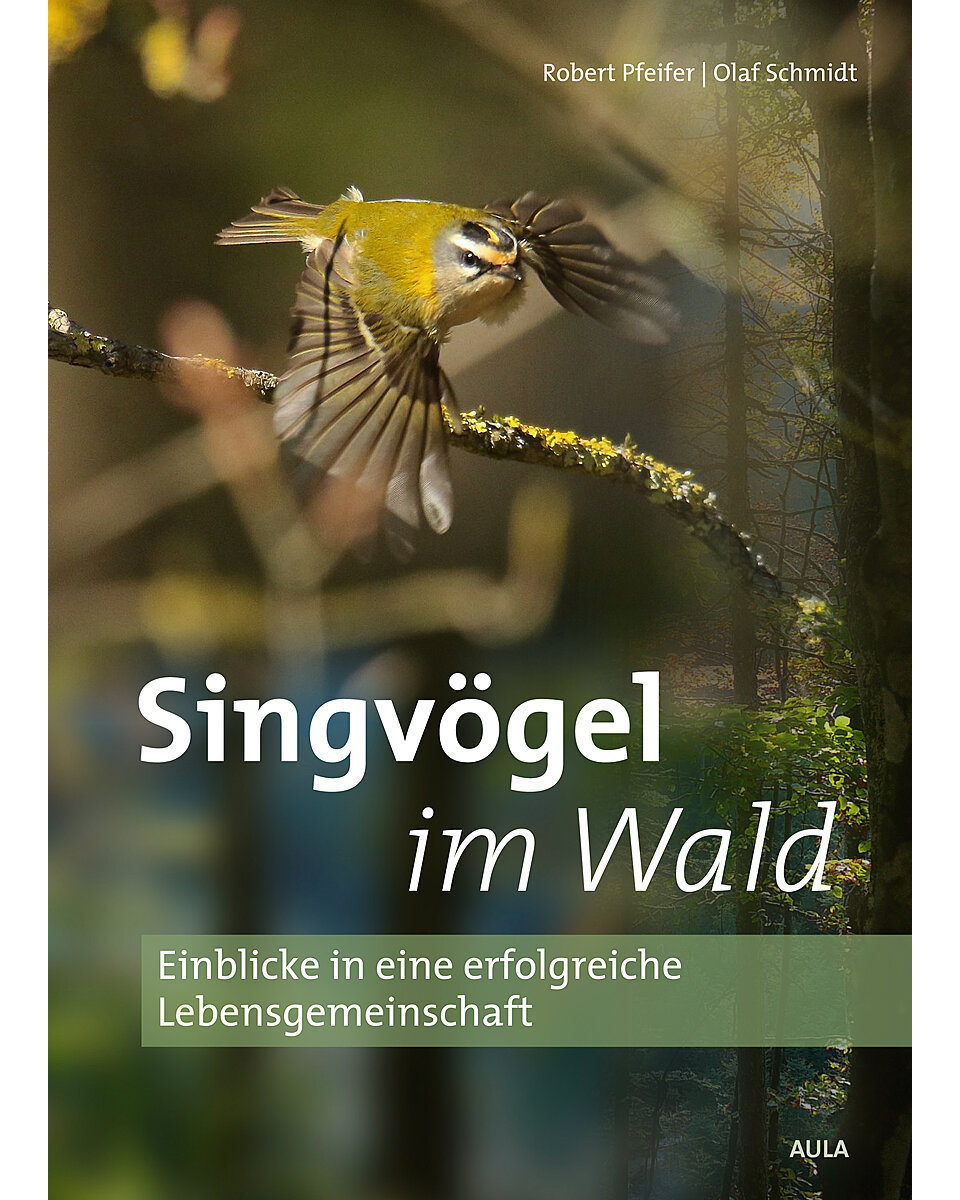 PFEIFER/SCHMIDT, SINGVGEL IM WALD