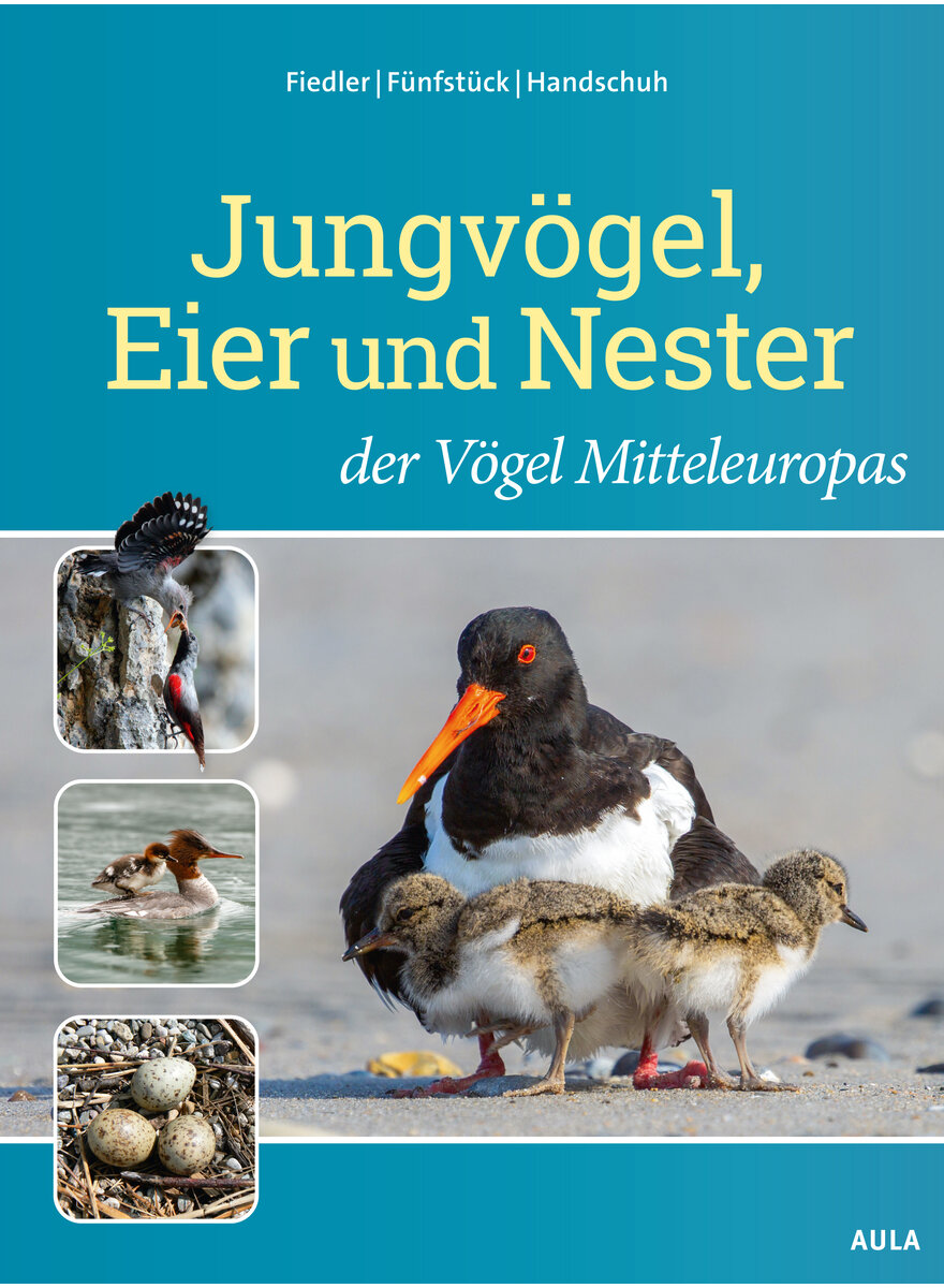 Auf diesem Bild sehen Sie das Produktbild 1 fr FIEDLER/FNFSTCK/HANDSCHUH, JUNGVGEL, EIER UND NESTER DER VGEL MITTELEUROPAS