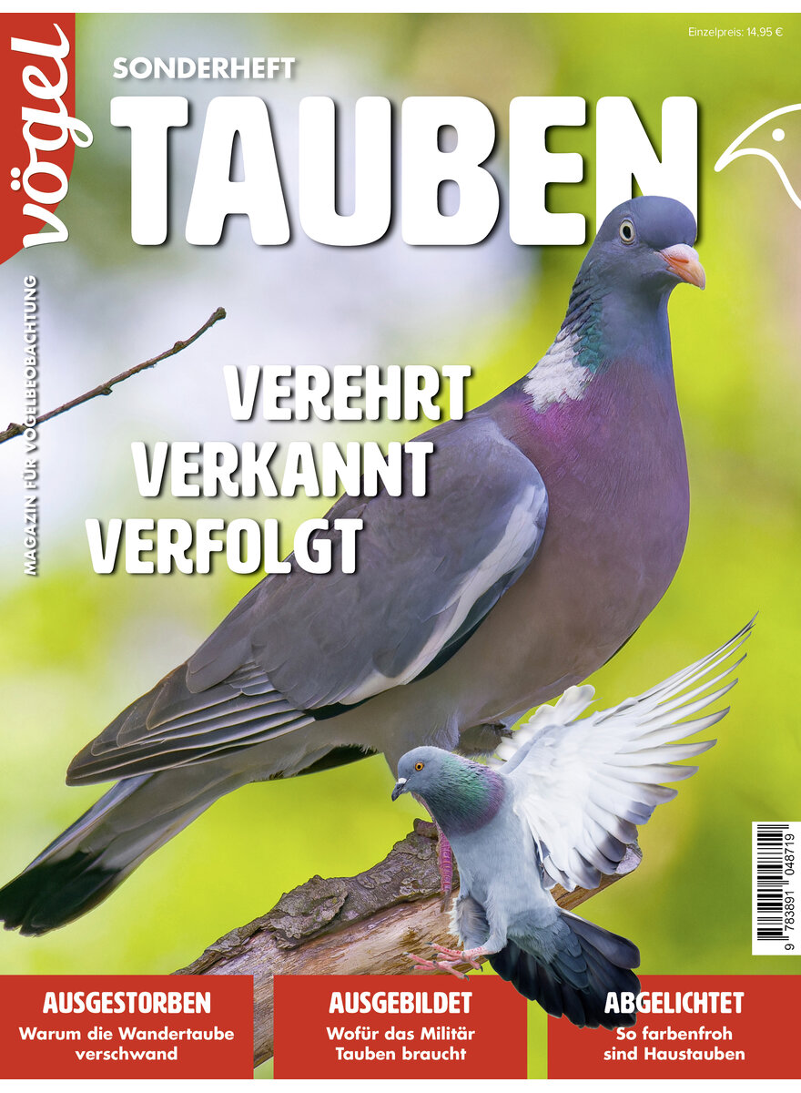 Auf diesem Bild sehen Sie das Produktbild 1 fr SONDERHEFT VGEL TAUBEN