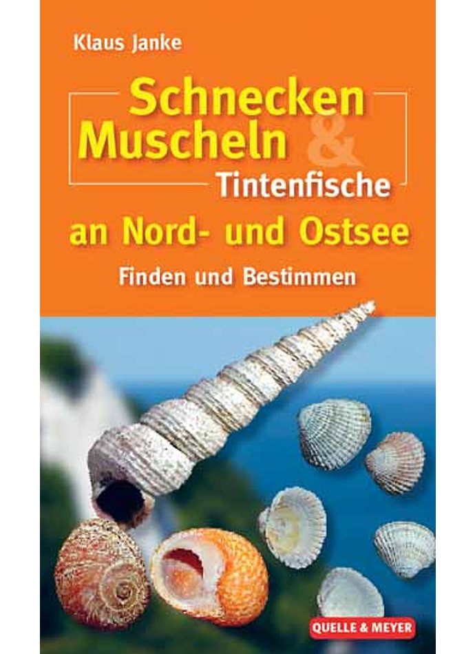 JANKE, MUSCHELN UND SCHNECKEN DER NORD- UND OSTSEE