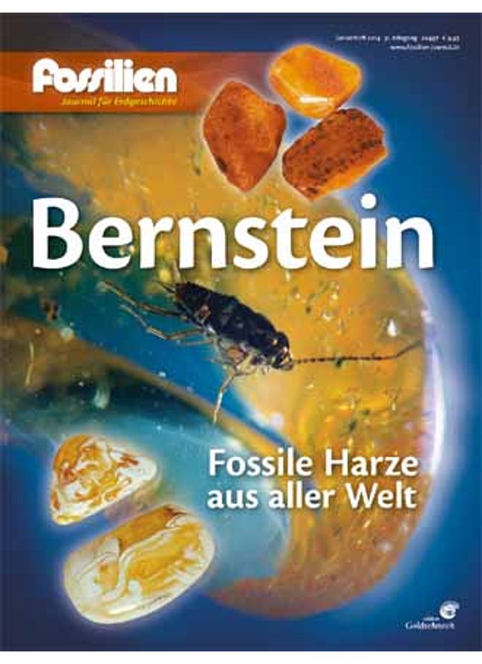 Auf diesem Bild sehen Sie das Produktbild 1 fr FOSSILIEN SONDERHEFT 2014 BERNSTEIN - FOSSILE HARZE AUS ALLER WELT