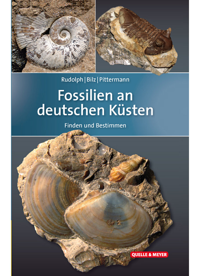 Auf diesem Bild sehen Sie das Produktbild 1 fr RUDOLPH/BILZ/PITTERMANN, FOSSILIEN AN DEUTSCHEN KSTEN 2. AUFL. 2019