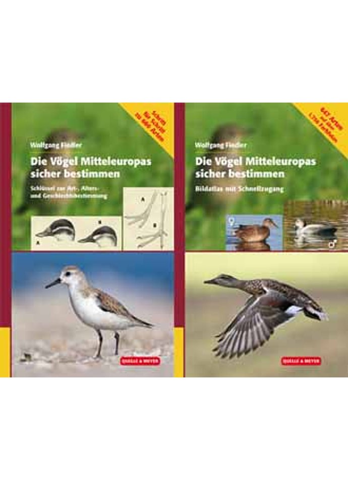 Auf diesem Bild sehen Sie das Produktbild 1 fr FIEDLER, DIE VGEL MITTELEUROPAS SICHER BESTIMMEN 1. AUFL. 2015 / 2 BNDE IM SET
