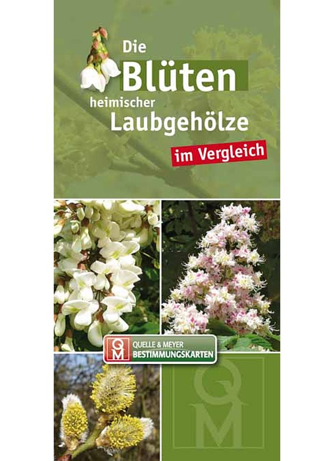 BESTIMMUNGSKARTE-DIE BLTEN HEIMISCHER UND KULTIVIERTER LAUBGEHLZE IM VERGLEICH