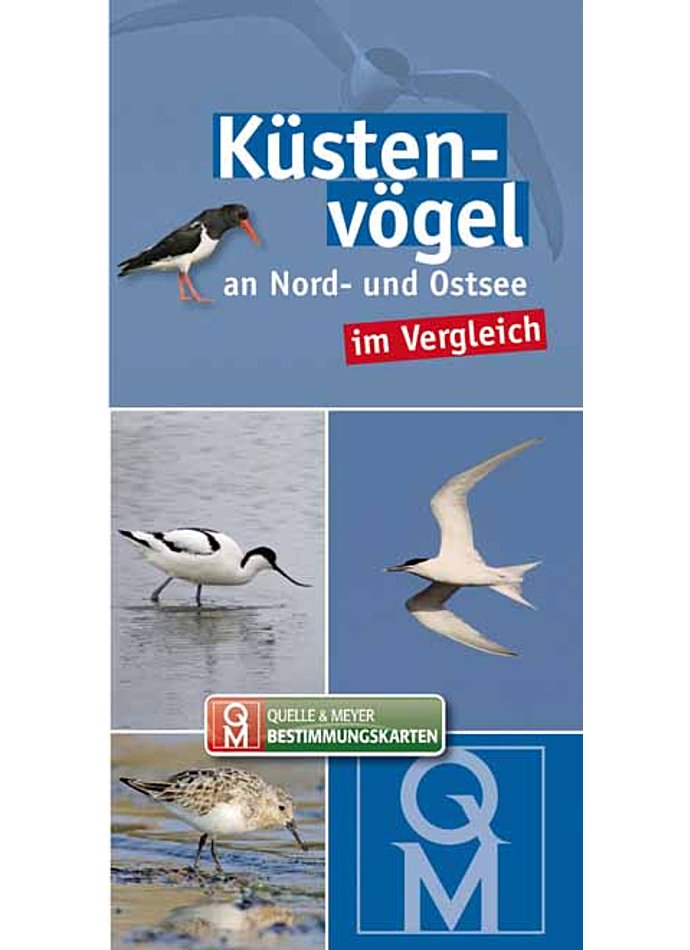 Auf diesem Bild sehen Sie das Produktbild 1 fr KSTENVGEL-BESTIMMUNGSKARTE