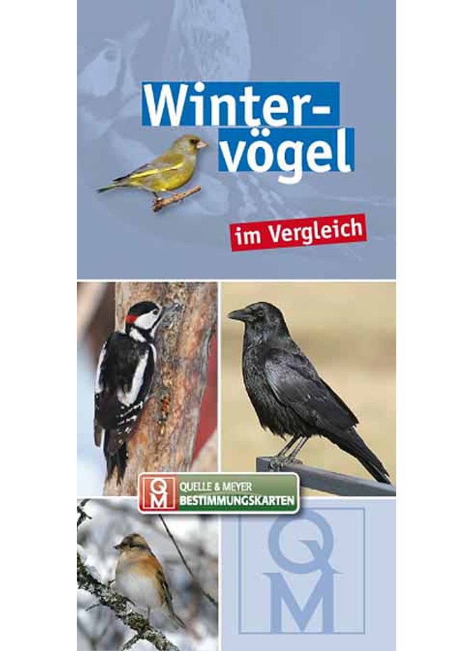 BESTIMMUNGSKARTE WINTERVGEL