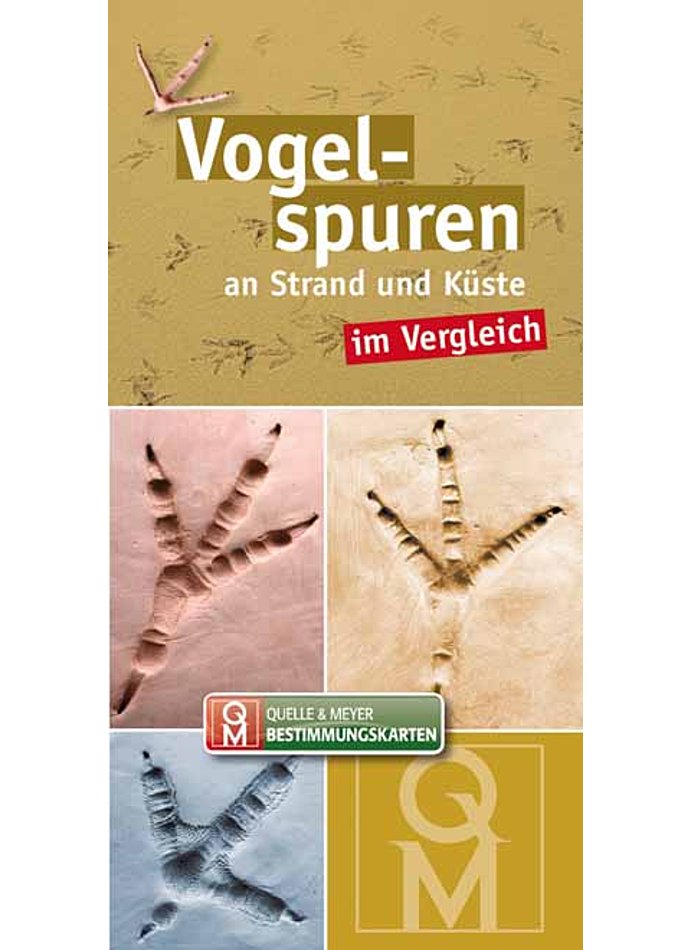 VOGELSPUREN-BESTIMMUNGSKARTE