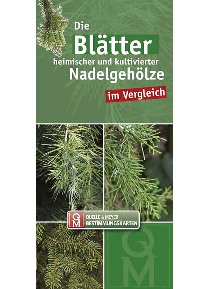 DIE BLTTER HEIMISCHER UND KULTIVIERTER NADELGEHLZE IM VERGL./BESTIMMUNGSK. 10ER SET