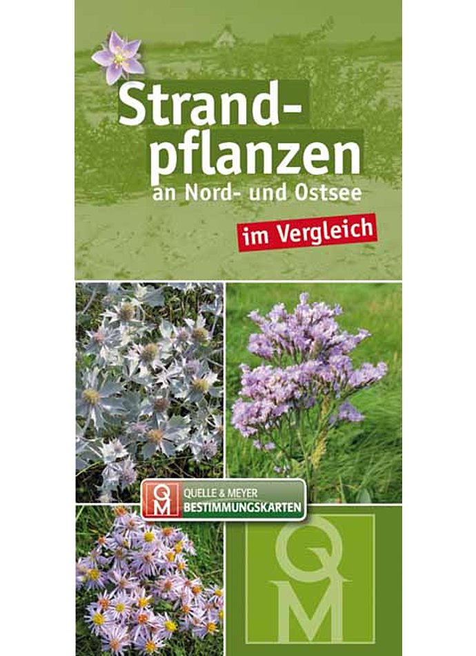 STRANDPFLANZEN AN NORD- UND OSTSEE IM VERGLEICH BESTIMMUNGSKARTEN 10ER SET