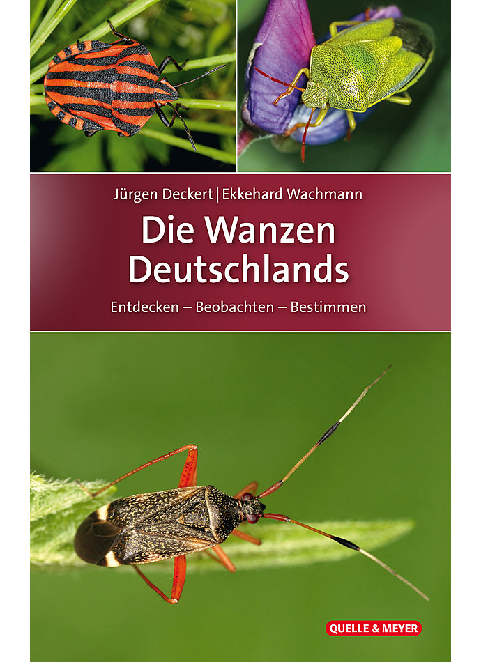 DECKERT/WACHMANN, DIE WANZEN DEUTSCHLANDS