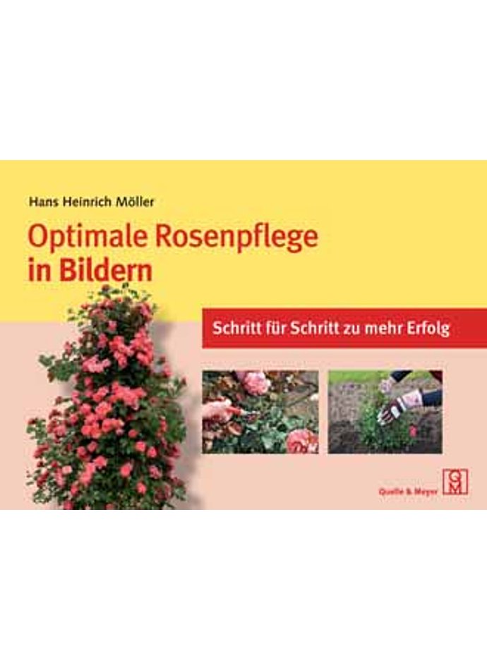 MLLER, OPTIMALE ROSENPFLEGE IN BILDERN