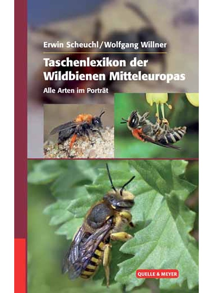 SCHEUCHL/WILLNER, TASCHENLEXIKON DER WILDBIENEN MITTELEUROPAS   1.AUFLAGE 2016