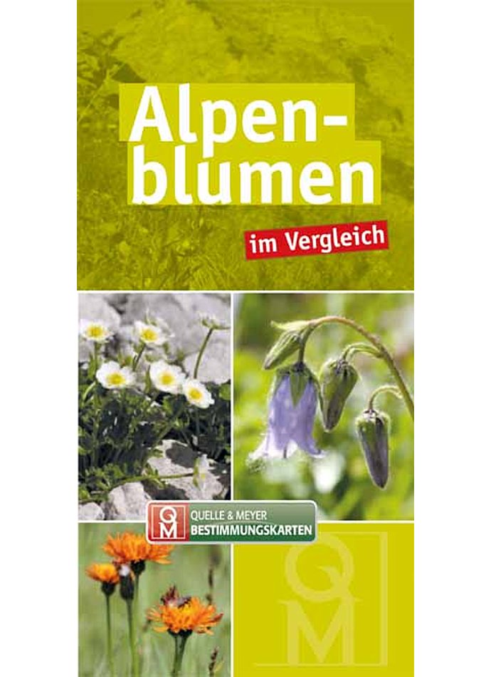 ALPENBLUMEN IN VERGLEICH BESTIMMUNGSKARTE - 10ER SET