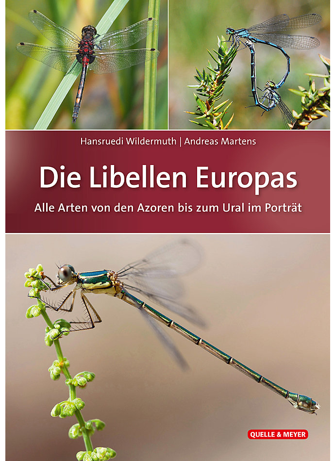 WILDERMUTH/MARTENS, DIE LIBELLEN EUROPAS