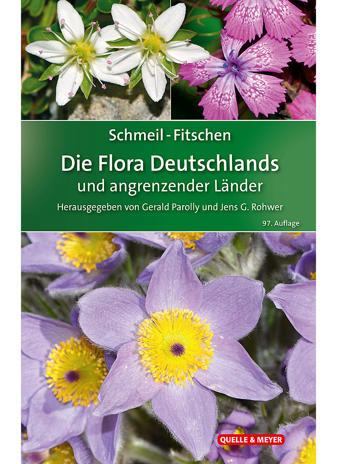 SCHMEIL/FITSCHEN, DIE FLORA VON DEUTSCHLAND UN DER ANGR. LNDER   97.AUFLAGE 2019