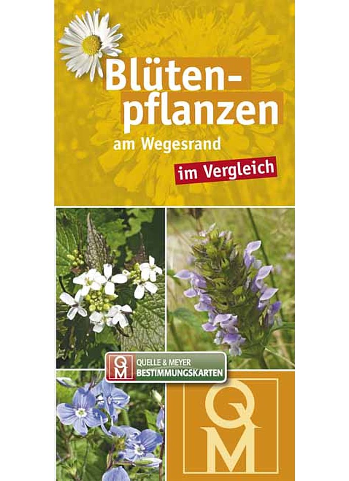 BLTENPFLANZEN AM WEGESRAND IM VERGLEICH BESTIMMUNGSKARTEN 10ER SET