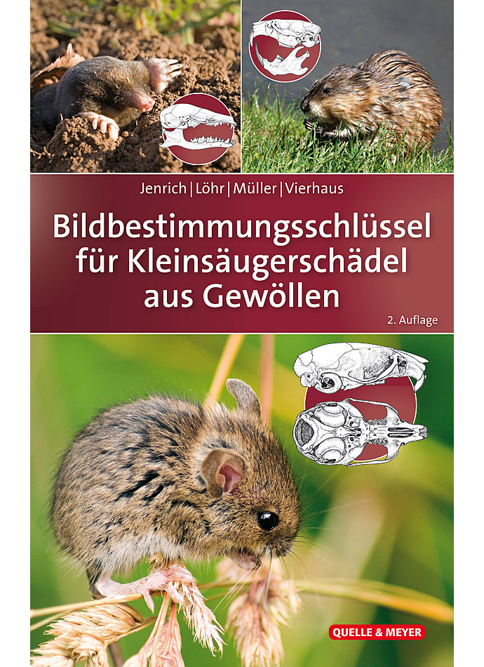Auf diesem Bild sehen Sie das Produktbild 1 fr JENRICH/LHR/MLLER, BILD- BESTIMMUNGSSCHLSSEL F. KLEIN- SUGERSCHDEL AUS GEWLLEN