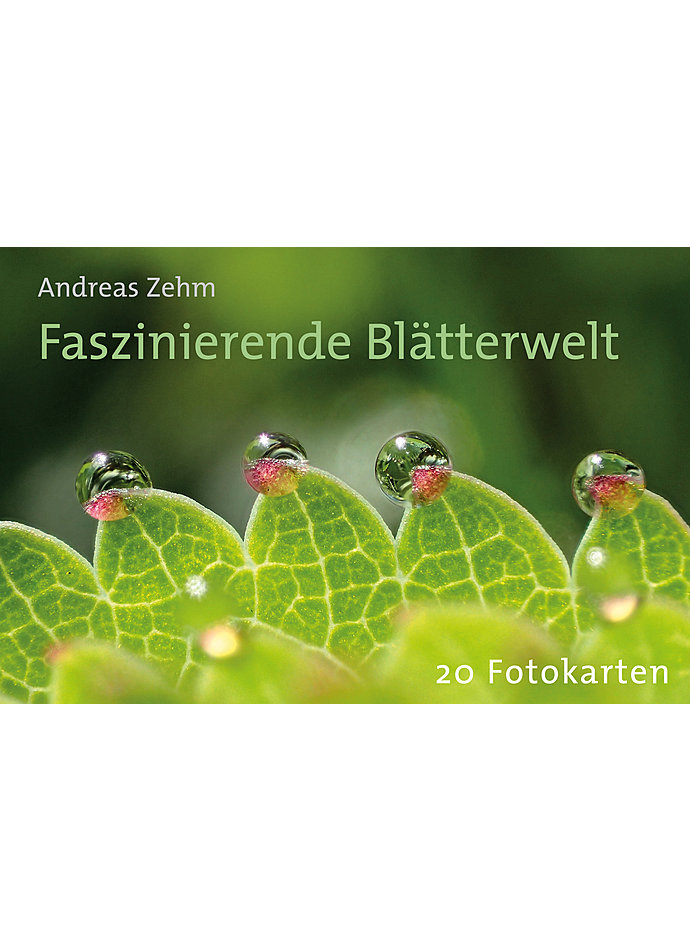 POSTKARTENBUCH FASZINIERENDE BLTTERWELT