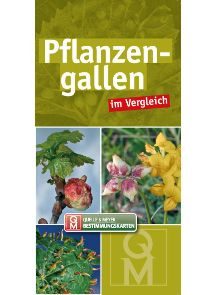 Auf diesem Bild sehen Sie das Produktbild 1 fr PFLANZENGALLEN IM VERGLEICH BESTIMMUNGSKARTEN 10ER SET