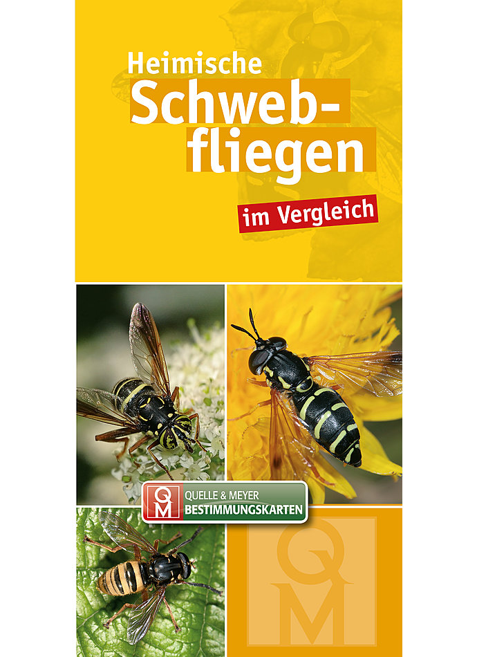 BESTIMMUNGSKARTE HEIMISCHE SCHWEBFLIEGEN