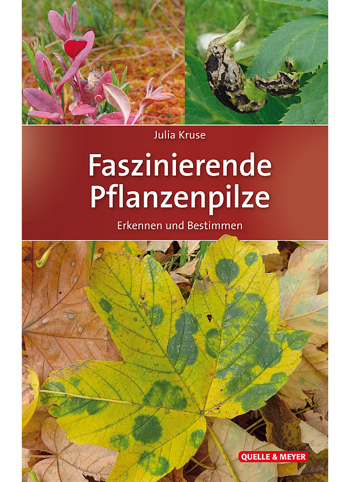 KRUSE, FASZINIERENDE PFLANZENPILZE