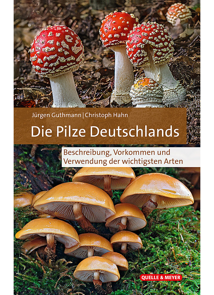 GUTHMANN/HAHN, DIE PILZE DEUTSCHLANDS