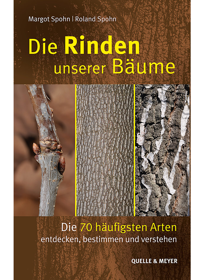 SPOHN/SPOHN, DIE RINDEN UNSERER BUME