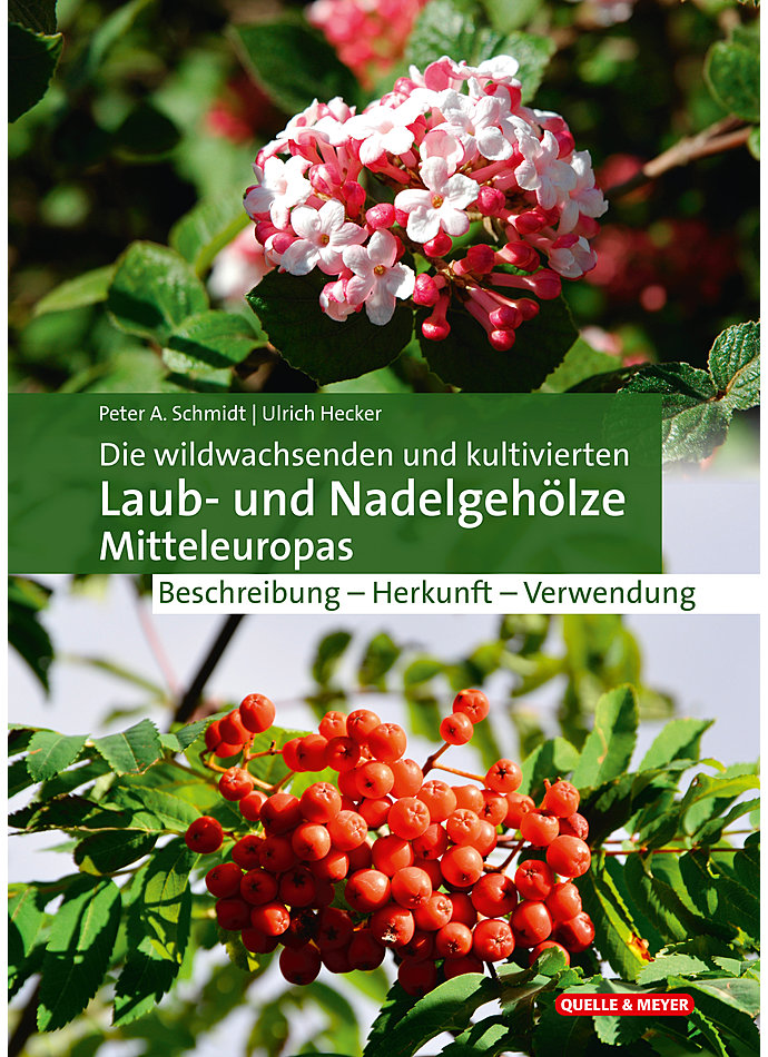 SCHMIDT/HECKER, DIE WILD- WACHSENDEN U. KULTIVIERTEN LAUB- U.NADELGEHLZE ME