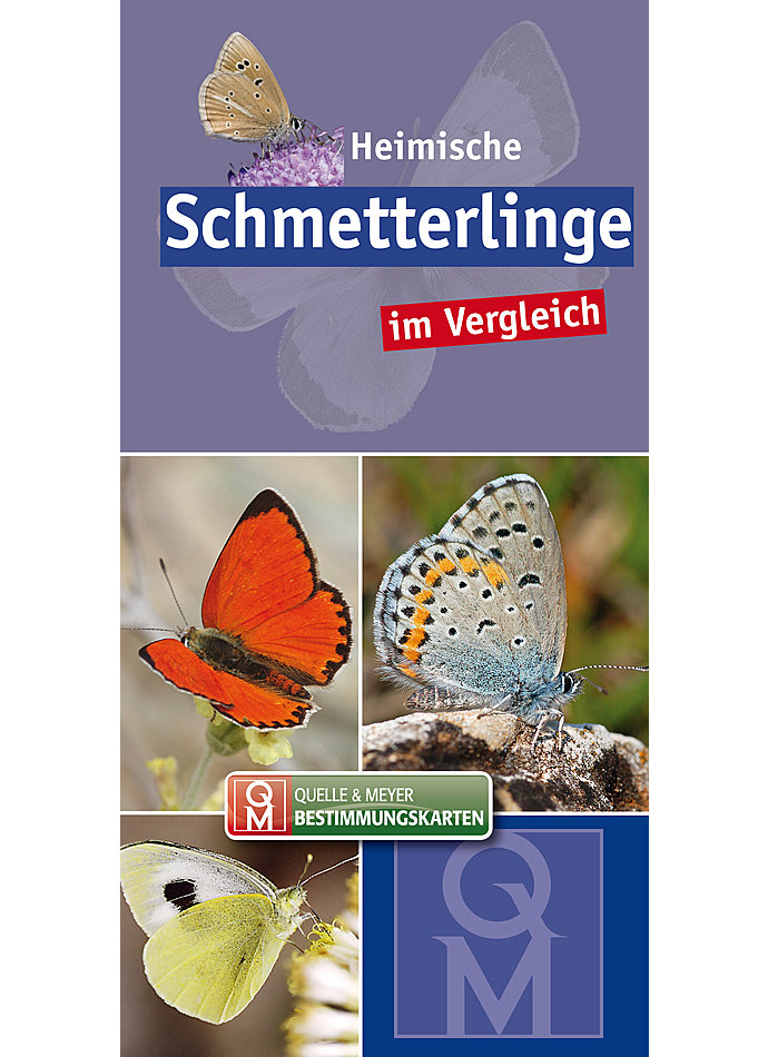 HEIMISCHE SCHMETTERLINGE IM VERGLEICH-BESTIMMUNGSKARTE