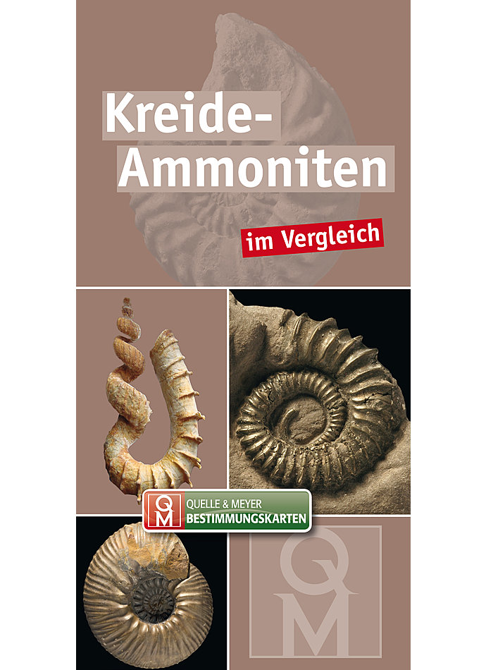 KREIDE-AMMONITEN IM VERGLEICH BESTIMMUNGSKARTEN 10ER SET