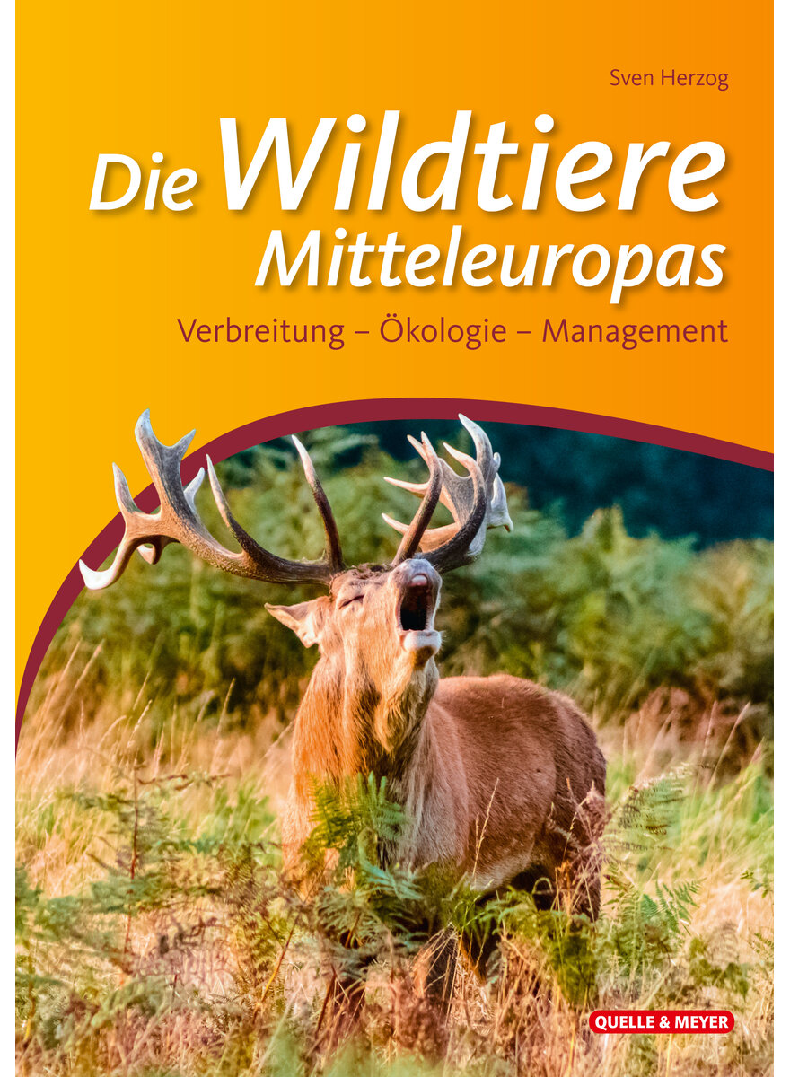 HERZOG, WILDTIERE MITTELEUROPAS