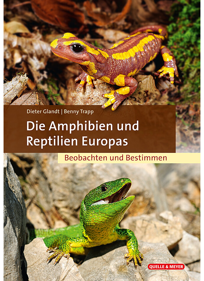 GLANDT/TRAPP, DIE AMPHIBIEN UND REPTILIEN EUROPAS 2. AUFLAGE 2022