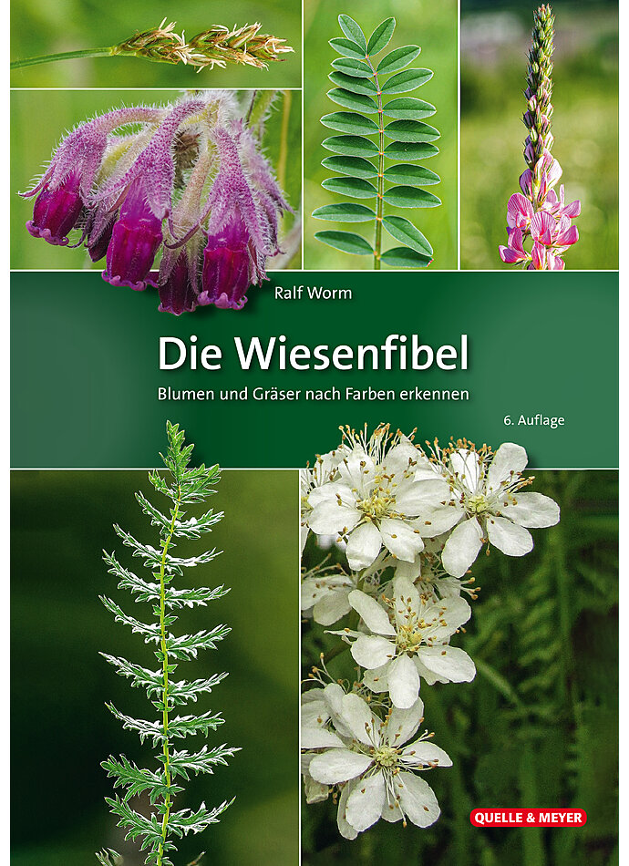 WORM, DIE WIESENFIBEL 6. AUFLAGE 2021