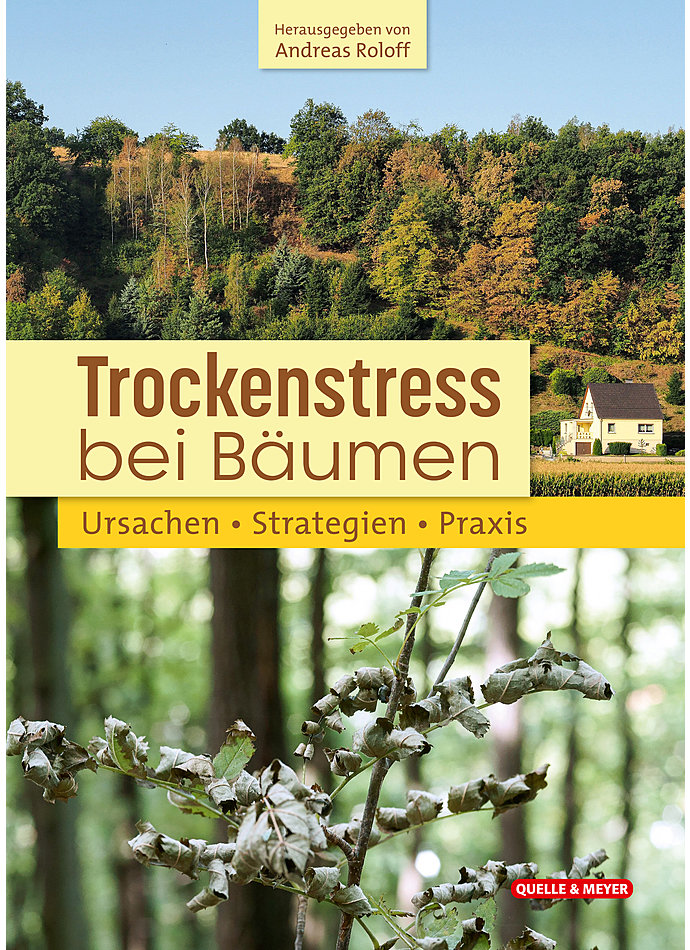 ROLOFF, TROCKENSTRESS BEI BUMEN