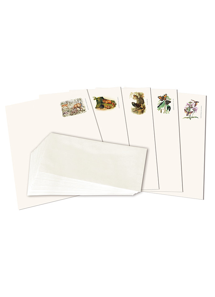 Auf diesem Bild sehen Sie das Produktbild 1 fr BRIEFPAPIER FAUNA