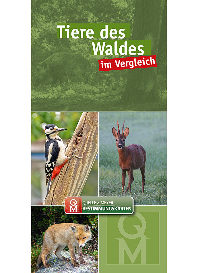 TIERE DES WALDES VERGLEICH BESTIMMUNGSKARTE